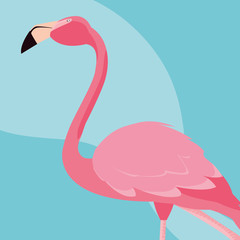 beautiful flamingo bird stand