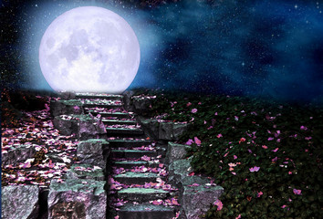 Stone steps in the night park, full moon rising over the hill © alg2209