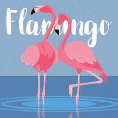beautiful flamingos birds couple in the landscape