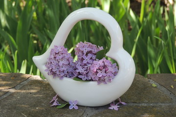 Букет  сирени в белой вазе на фоне зелёных листьев 