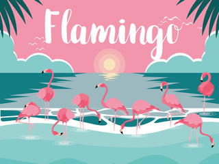 beautiful flamingos birds flock in the landscape © djvstock