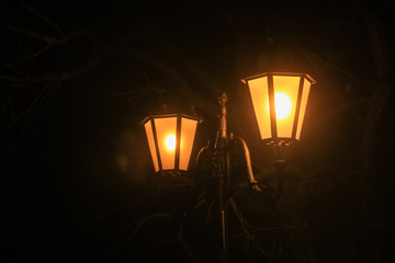 Street lamp at Night in the City. Close-up