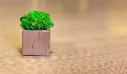 Greens on a wooden table decoration.