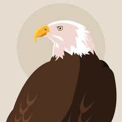 bald eagle bird icon