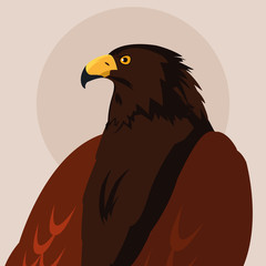 imposing hawk bird icon