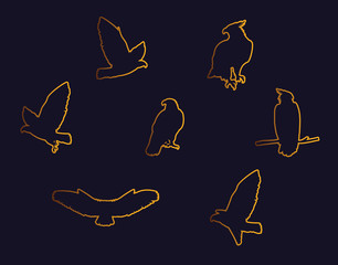 hawks birds golden silhouettes with different poses