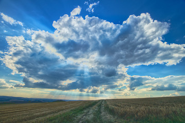 Heavy clouds with rays of light