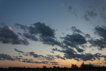 Sky after sunset, trees on the horizon and clouds in the sky