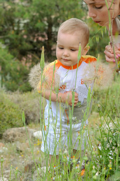 Mom holds the child by the hand. They are considering a huge dandelion flower.