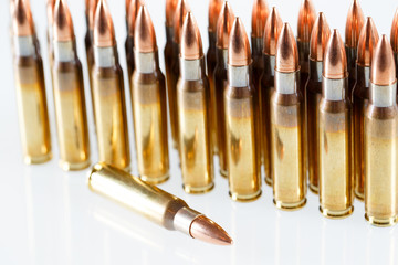 Hunting cartridges of caliber. 308 Win
