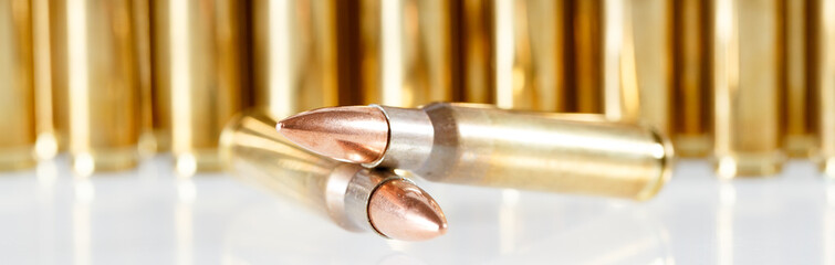 Hunting cartridges of caliber. 308 Win