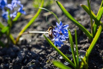 Fototapete bei efototapeten.de bestellen   