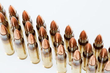 Hunting cartridges of caliber. 308 Win