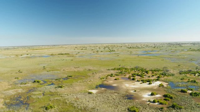 Wildlife aerial Okavango Delta Botswana Africa