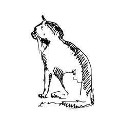 Hand drawn sitting cat. Cat sits back. Sketch, vector illustration 
