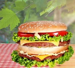 Barbecue Grilled Hot Dog with Yellow Mustard on  background