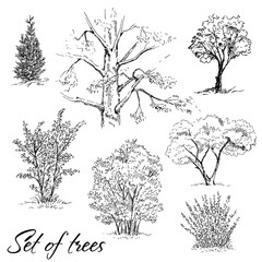 Hand drawn set of trees. Vector illustration.