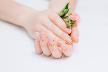 Obraz na płótnie Canvas Beautiful female manicure lacquer pink, hands on white background with delicate flowers. Concept skin care, moisturizing cream