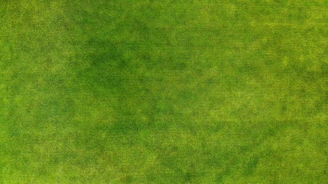 Aerial. Green grass texture background.