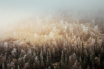 Great view of the alpine valley that glowing by sunlight. Location place Carpathian, Yaremche,...
