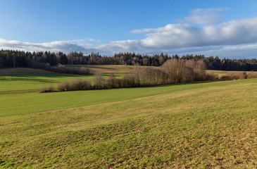 Winter. Meadow. Forest. Field. Hill. Sky