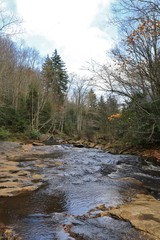 Flowing river in a wooded area