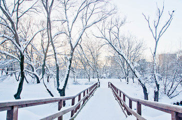 wooden bridge and snowy trail in the park in winter