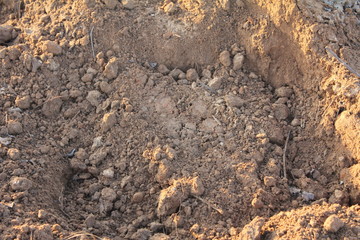 Tierra