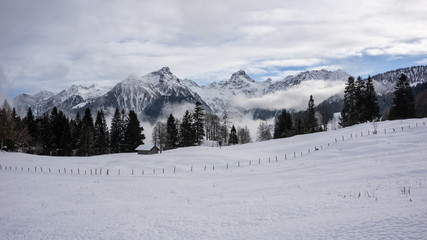 Fototapeta premium Stimmungsvolle WInterlandschaft