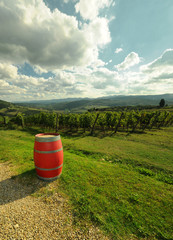 Obraz premium old red barrels in a Tuscan vineyard in the Chianti region near Pontassieve (Florence), Italy.