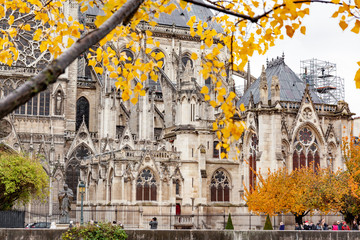 Europe, France, Paris , Notre Dame, Ile