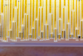 Colorful hanging tubes made of glass.