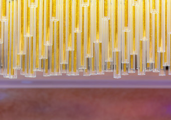 Colorful hanging tubes made of glass.