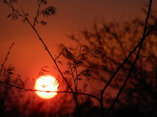 Por do Sol