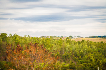 NATUREZA E CEU