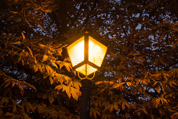 Farola en el atardecer en el Parque de El Retiro de Madrid iluminando las hojas del otoño de los...