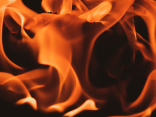 burning fire