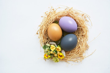 colored Easter eggs in nest on wooden background, selective focus image. Happy Easter card 