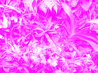 Fototapeta na wymiar Kreatywna grafika roślinna świetnie nadaje się na tło baneru. Abstrakcyjne tło roślinne. Graficzny nowoczesny wzór. 