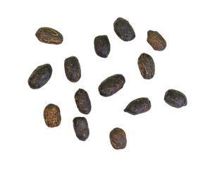 sheep excrement isolated on white.