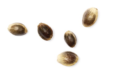 Hemp seeds isolated on white background, top view