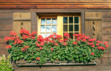 Fototapeta na wymiar Facade with flowers on the windows in switzerland
