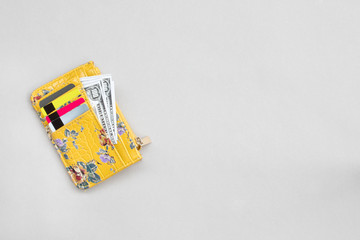 Woman wallet with dollar and bank cards on the grey background.