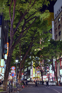 View of city street at night