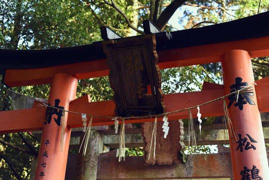 Entrance of Torii Gate