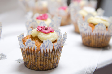 Beautiful inviting Sponge and cream cup cakes with a shallow depth of field, photographed on a table.