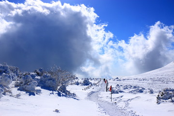 대한민국 제주도에 있는 "한라 산"의 겨울 풍경이다