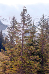 Murren mountains in Switzerland on a cloudy day