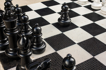 Large Chess Pieces on Chess Board