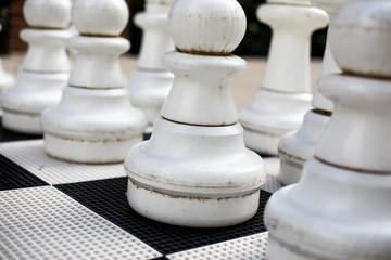 Large Chess Pieces on Chess Board